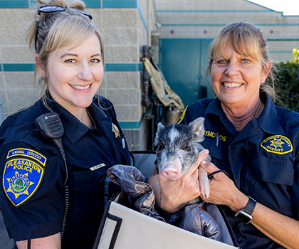 officers with a young animal