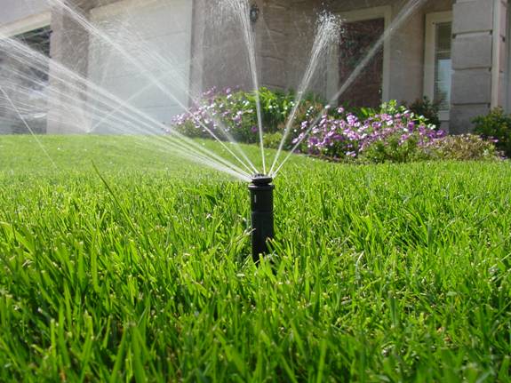 lawn with sprinklers