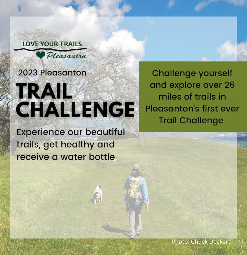 pleasanton trail challenge banner
