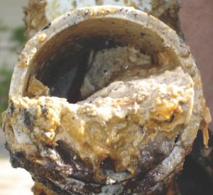 Clogged_Pipe