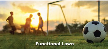 Functional Turf
