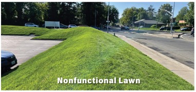 Nonfunctional Turf