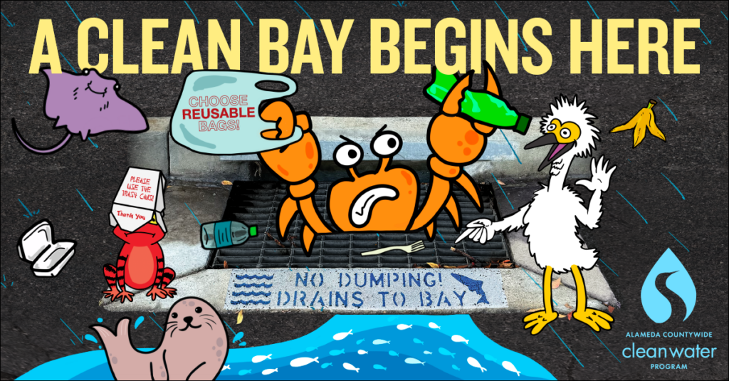 Clean Bay Begins Here