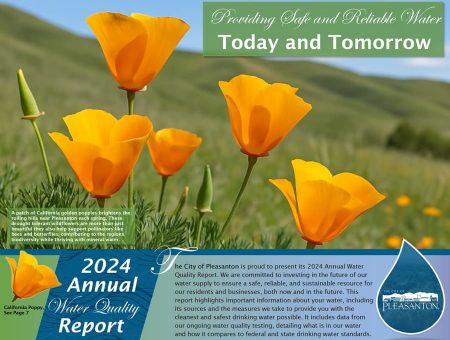 2024-annual-water-quality-report-1